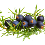 sacred-ingredients-img-02